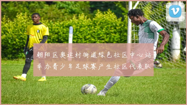 朝阳区奥运村街道绿色社区中心站举办青少年足球赛产生社区代表队